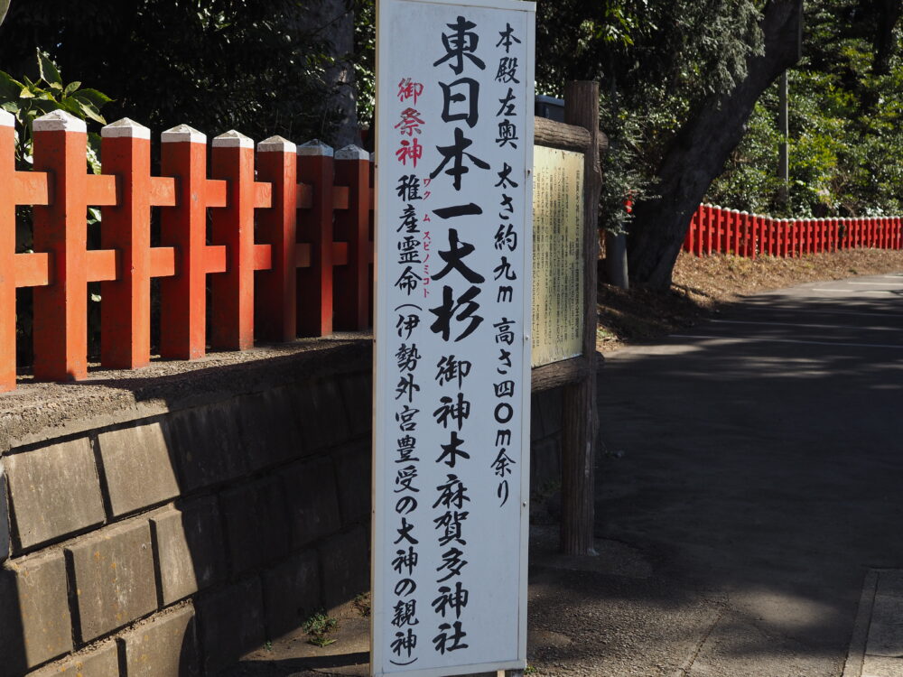 東日本一大杉の看板